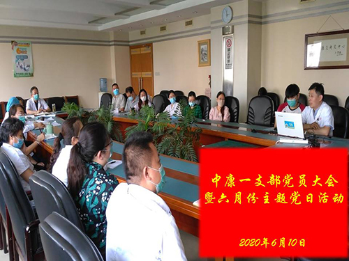 圖為主題黨日活動現(xiàn)場