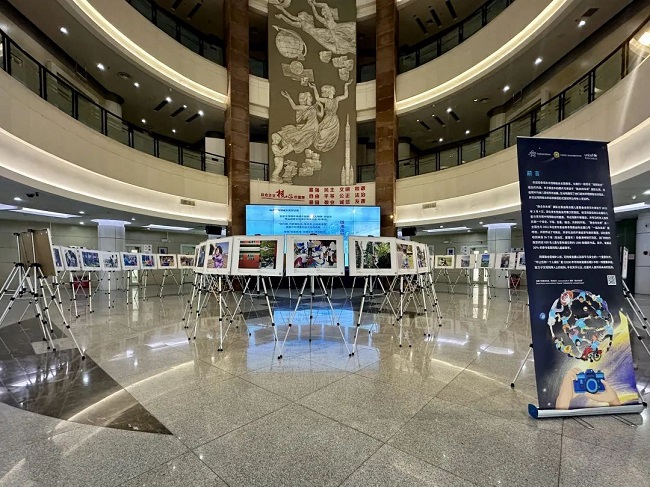 圖為展覽現(xiàn)場
